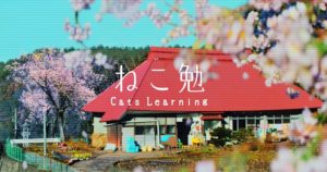 ねこ勉～Cats Learning～