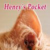 「ヘンリーのポケット」猫耳のあの部分の名前