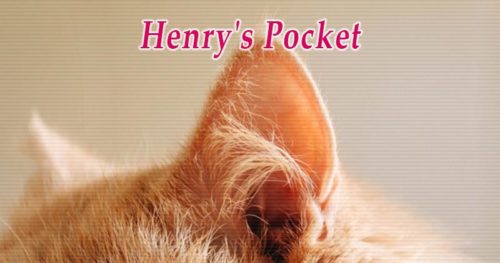 ヘンリーのポケット