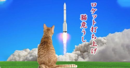 ロケット打ち上げで猫が取り残された